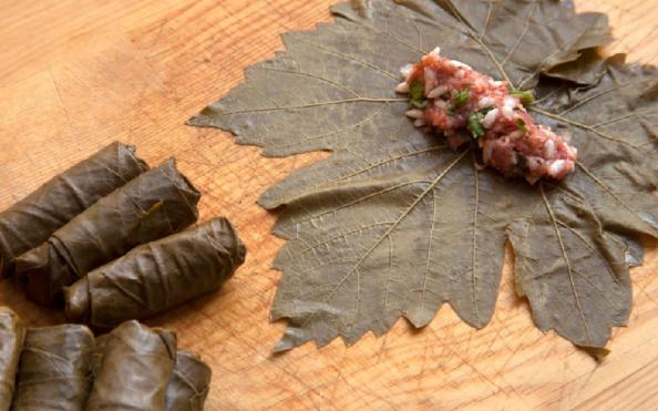 بازار توزیع برگ مو شور