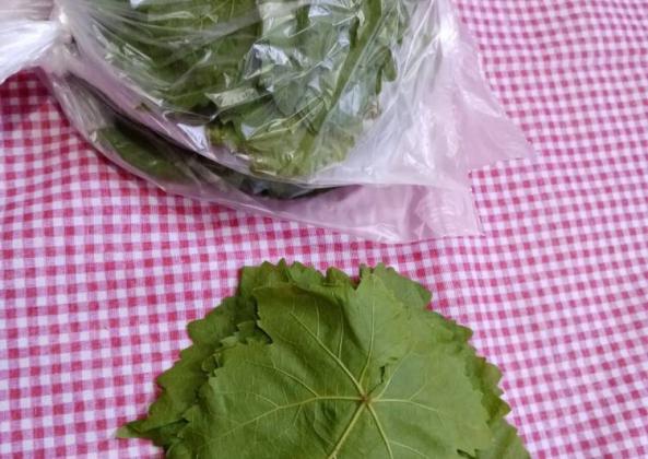 نکات لازم در تهیه برگ مو بشکه ای