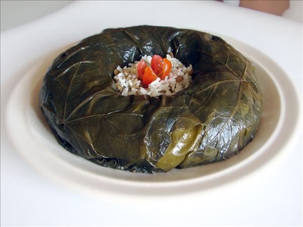 مرکز سفارش برگ مو باکیفیت