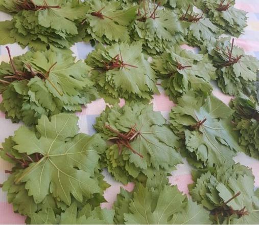 صادرات انواع برگ مو تازه فله ای