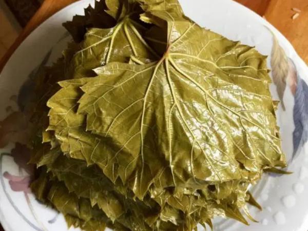 تاثیر مصرف برگ مو بر چشم