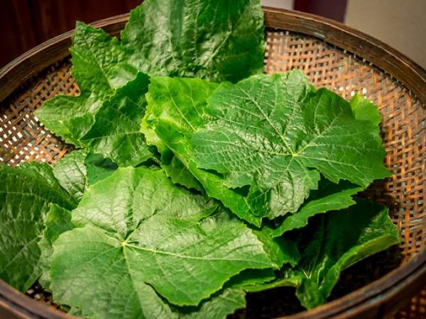 نحوه استفاده از برگ مو بشکه ای