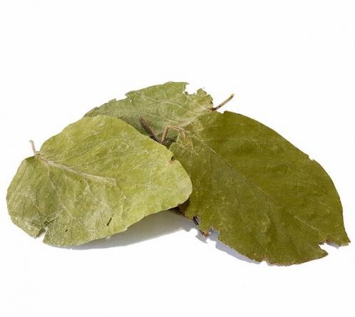 بررسی کیفی برگ مو خشک