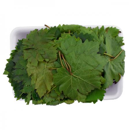 تولیدی برگ مو خشک شده