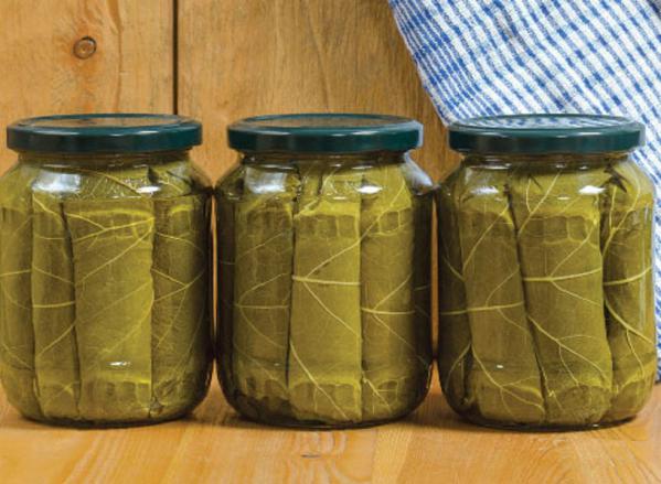 فواید مصرف برگ مو شور اعلا