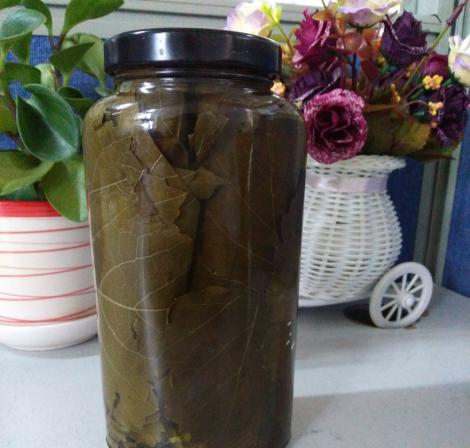 فروش بی واسطه برگ مو شیشه ای عمده