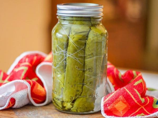 سفارش عمده برگ مو شور شده ارزان