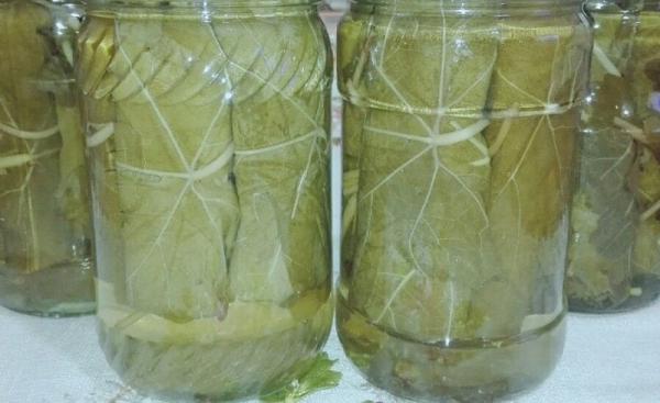 قیمت فروش برگ مو شیشه ای ارزان