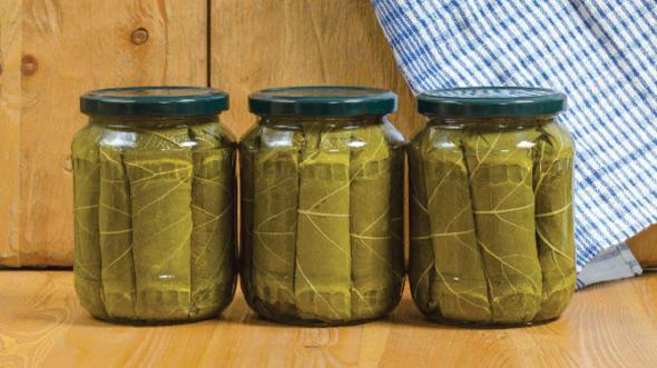 خرید کلی برگ مو شیشه ای