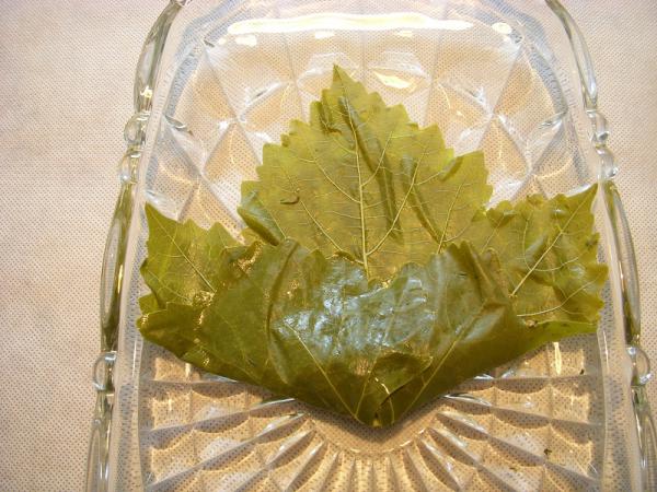 ویتامین های موجود در برگ مو