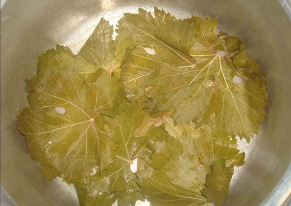 آشنایی با خواص بی نظیر برگ مو