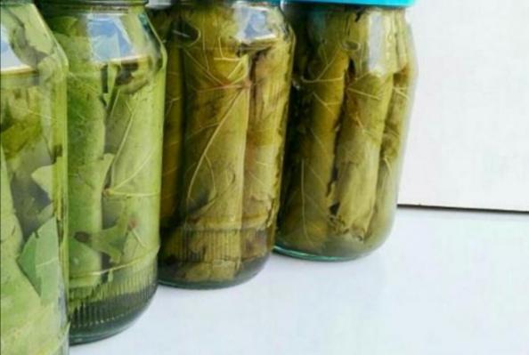 فروش عمده برگ مو شیشه ای