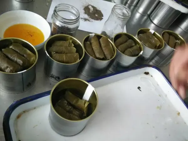 خرید عمده برگ مو کنسرو شده