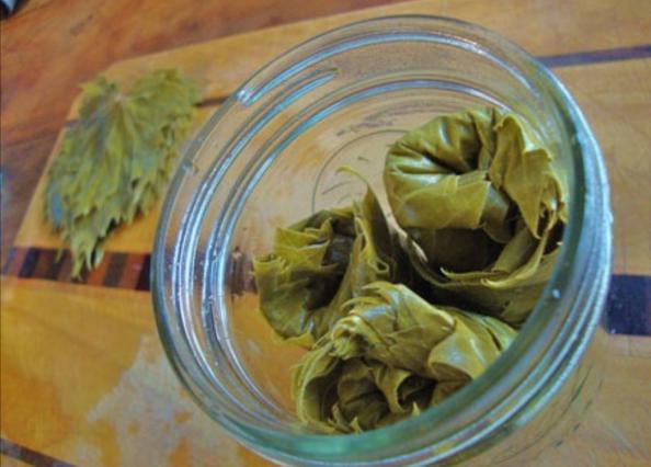 خواص برگ مو برای لاغری