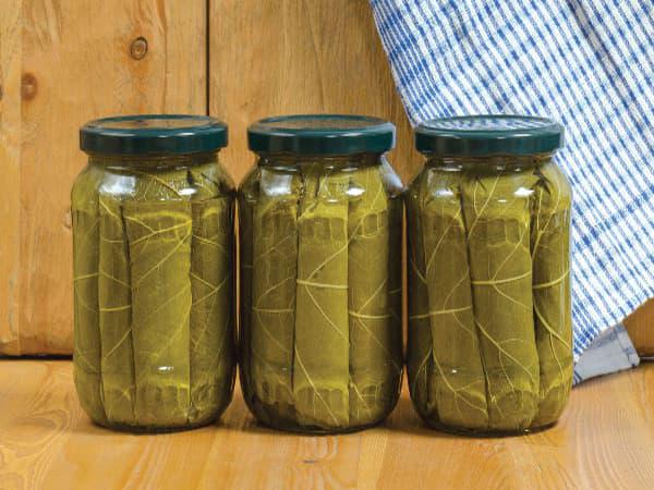 برگ مو منبع غنی اسیدهای چرب امگا 3