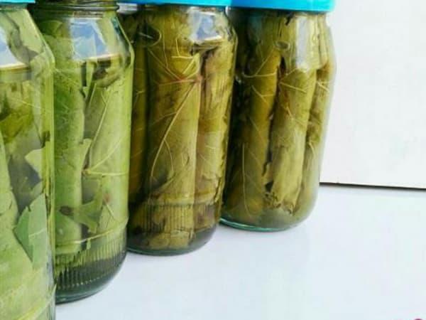 مرجع خرید برگ مو شیشه ای