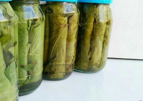 پخش مستقیم کنسرو برگ مو