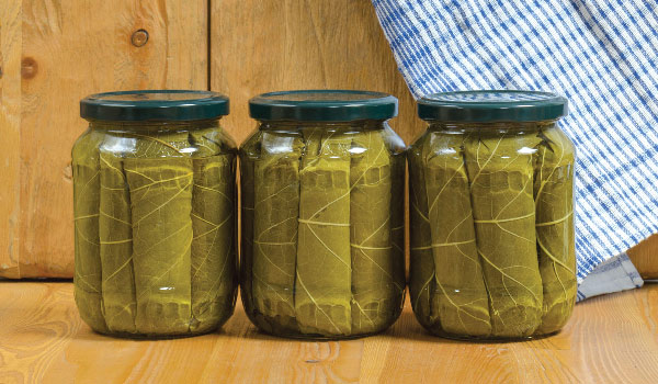 برگ مو را چگونه کنسرو کنیم؟